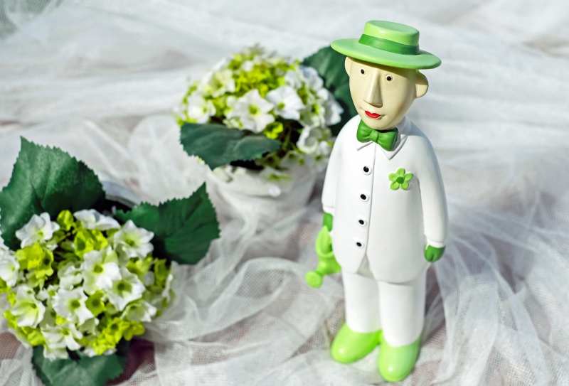 vitrine-PEILLON-min_man-person-flower-green-toy-fig-546529-pxhere.com